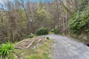 Setzercove Rd-1804-034.jpg