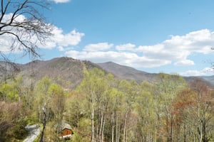 Setzercove Rd-1804-038.jpg