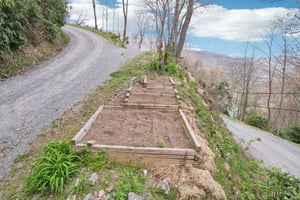 Setzercove Rd-1804-045.jpg