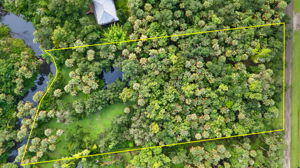 Aerial Overview 1 - lot line