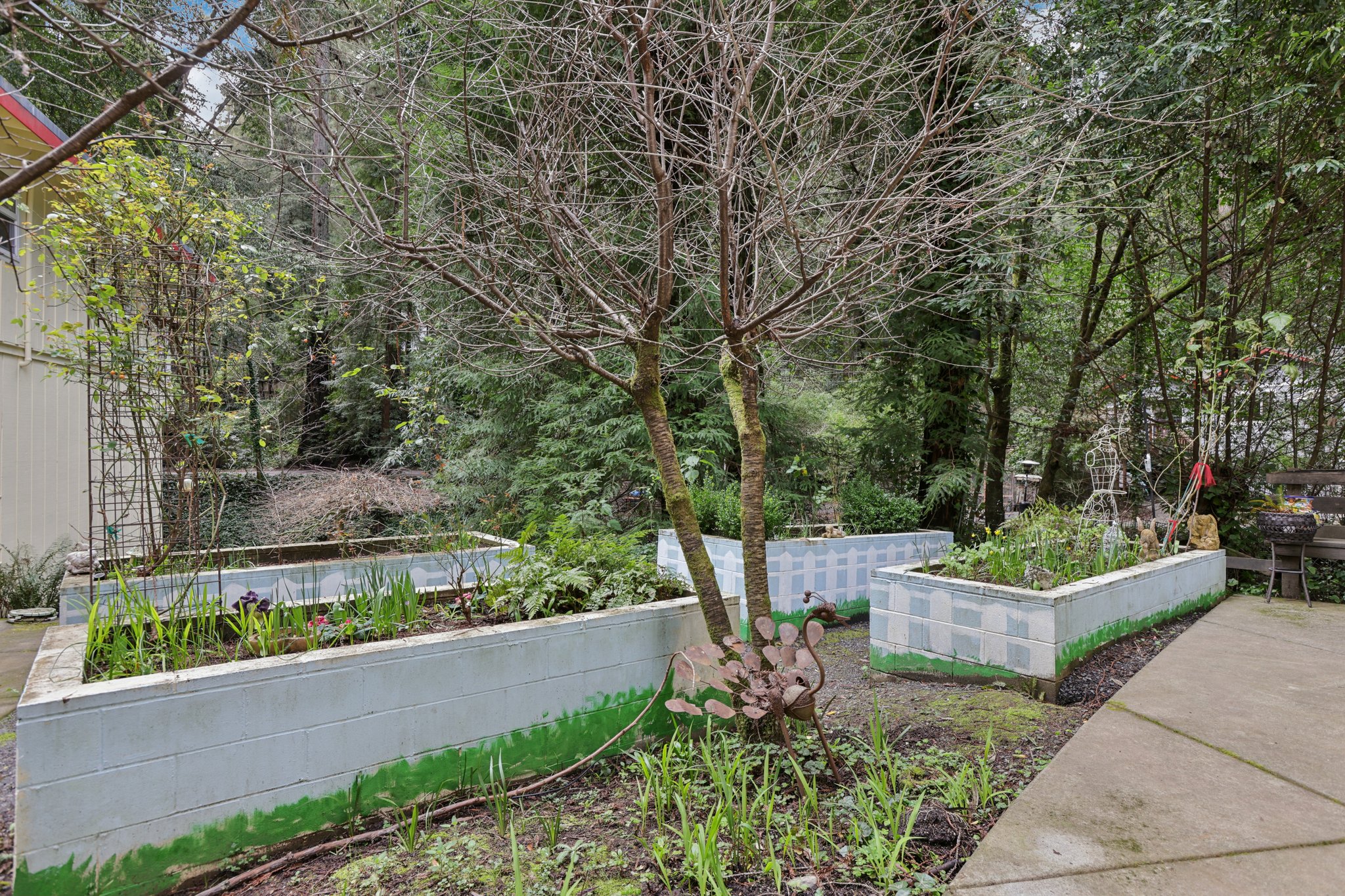 Laurel Rd-S2302-038.jpg