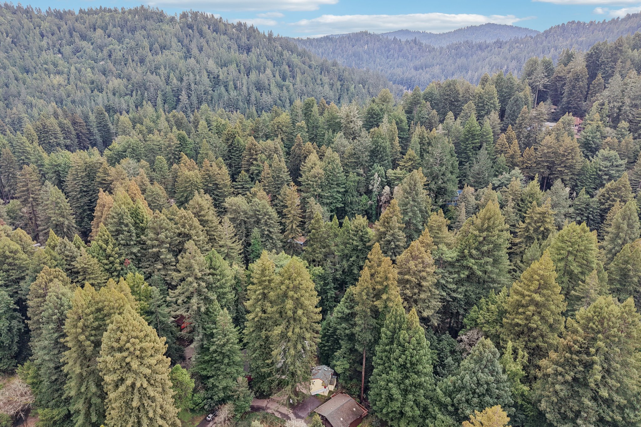 Laurel Rd-S2302-051.jpg