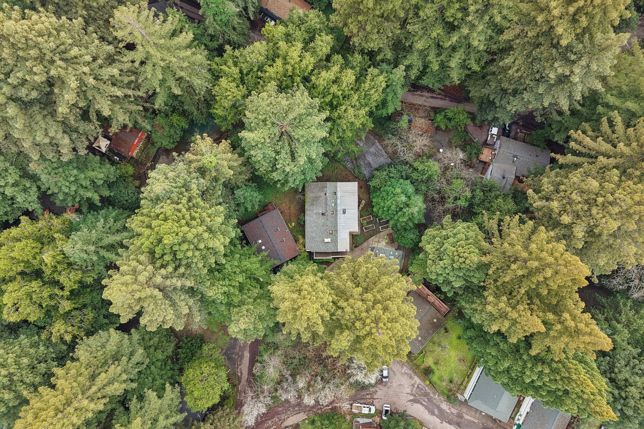 Laurel Rd-S2302-053.jpg