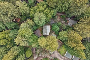 Laurel Rd-S2302-053.jpg