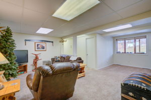 Lower Level - Family Room