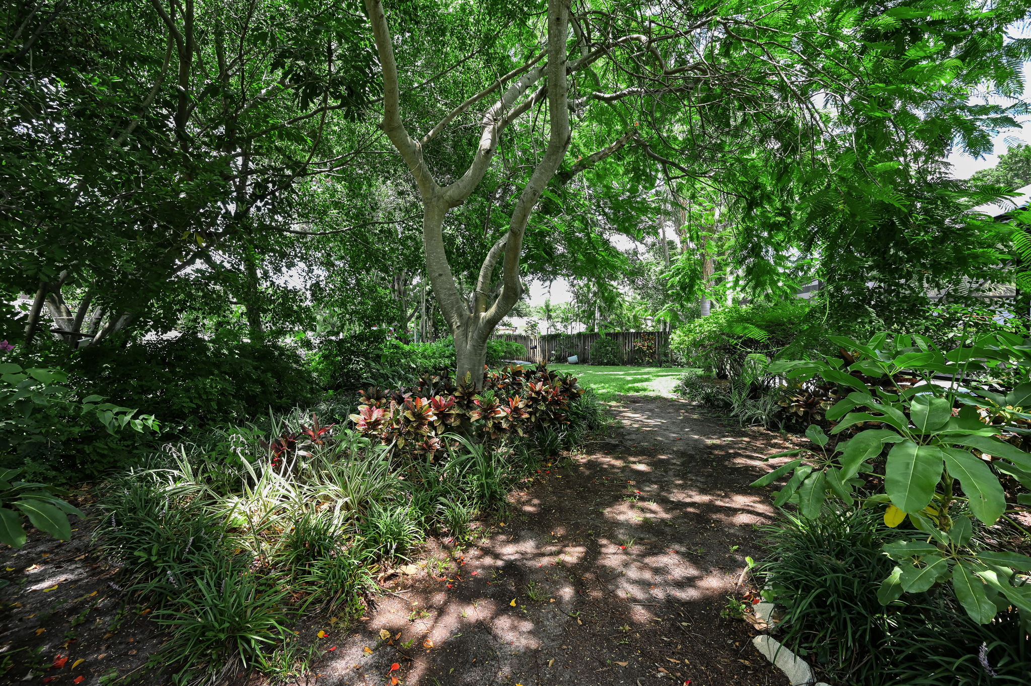 Backyard2