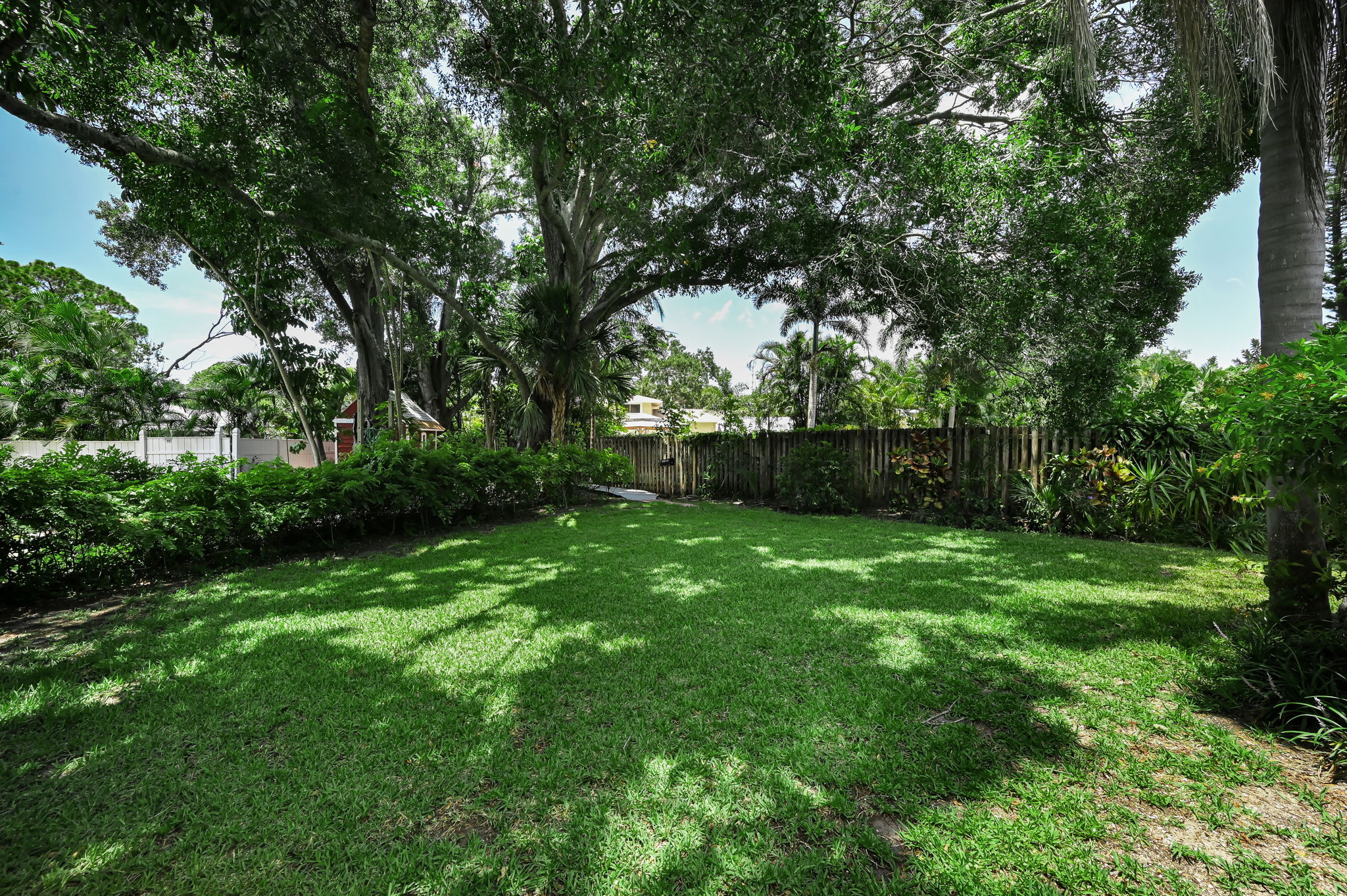 Backyard4
