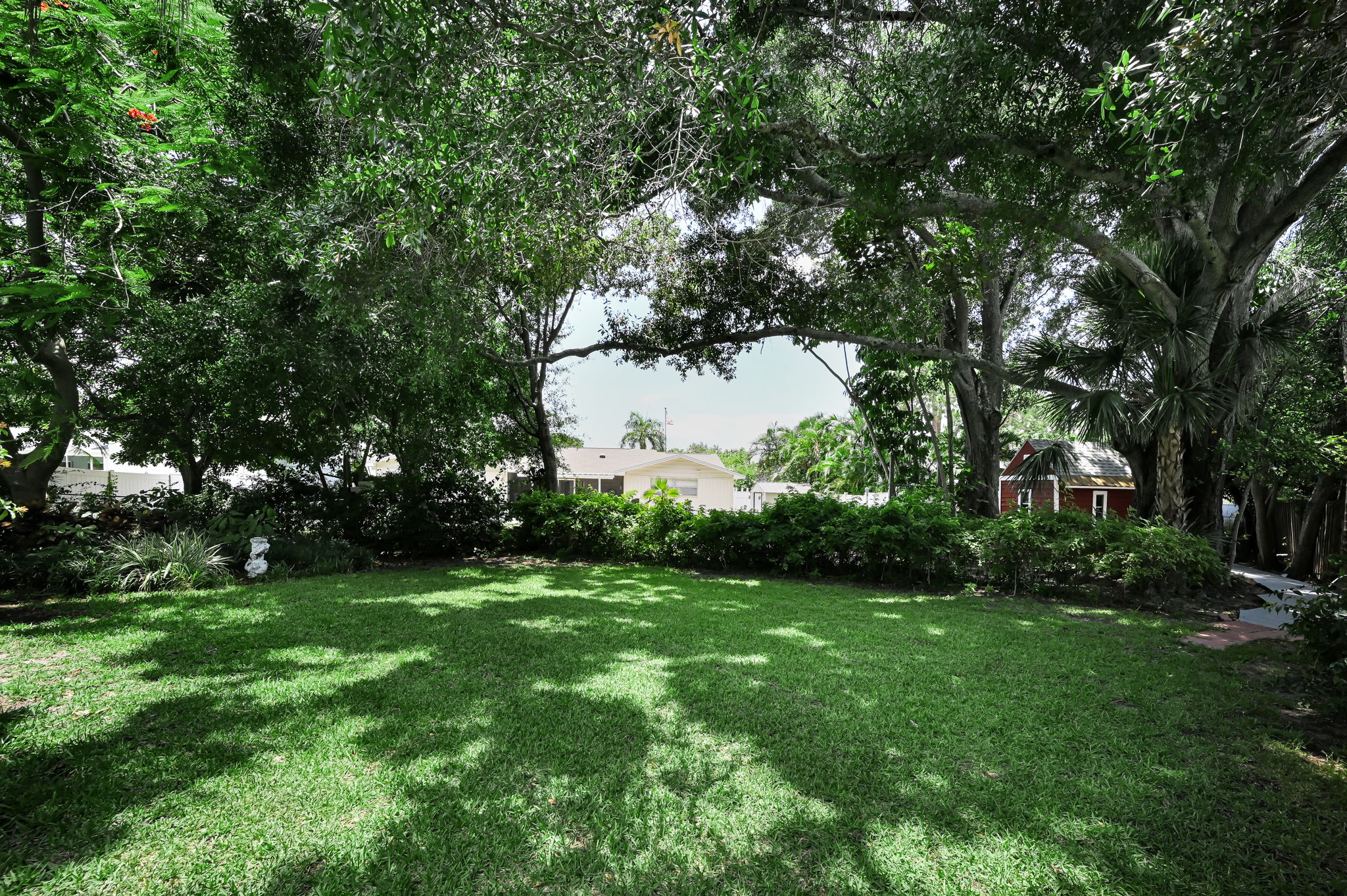 Backyard5