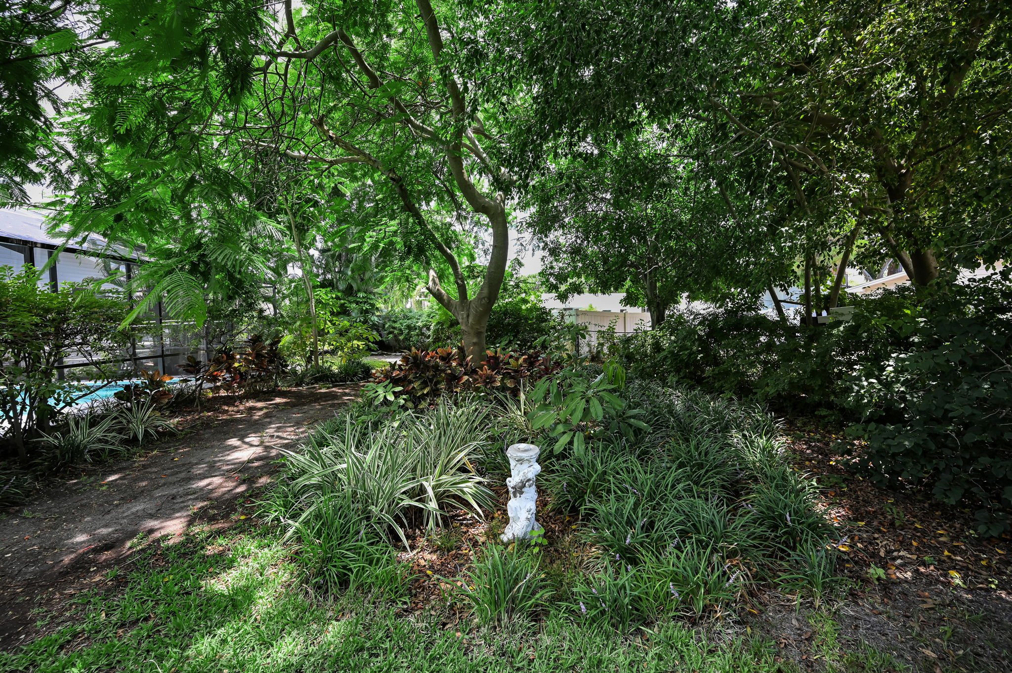 Backyard6