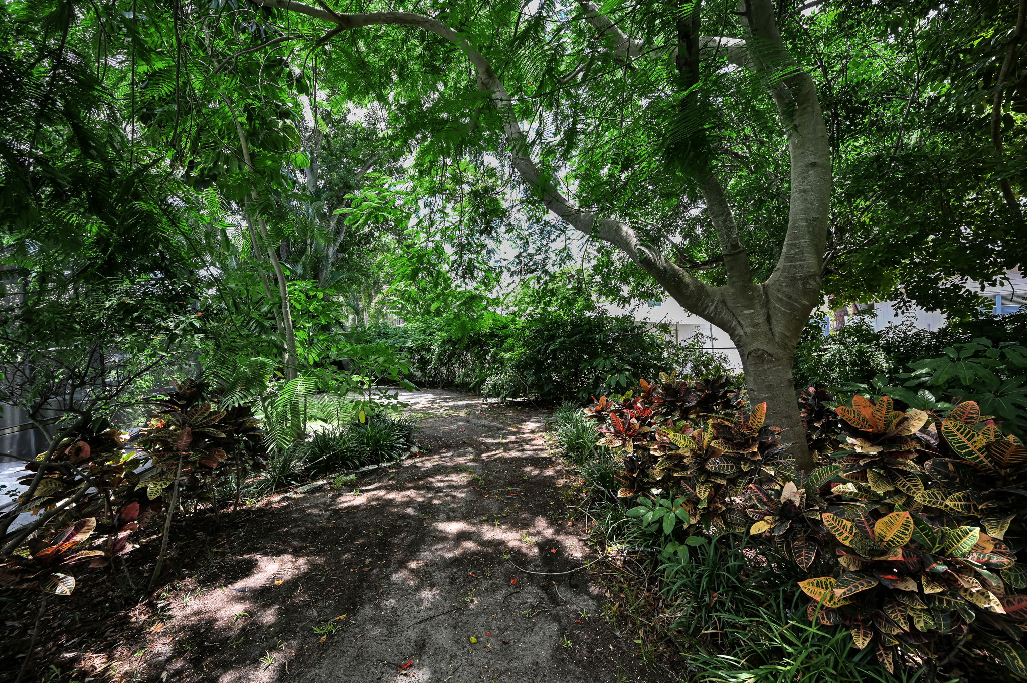 Backyard7