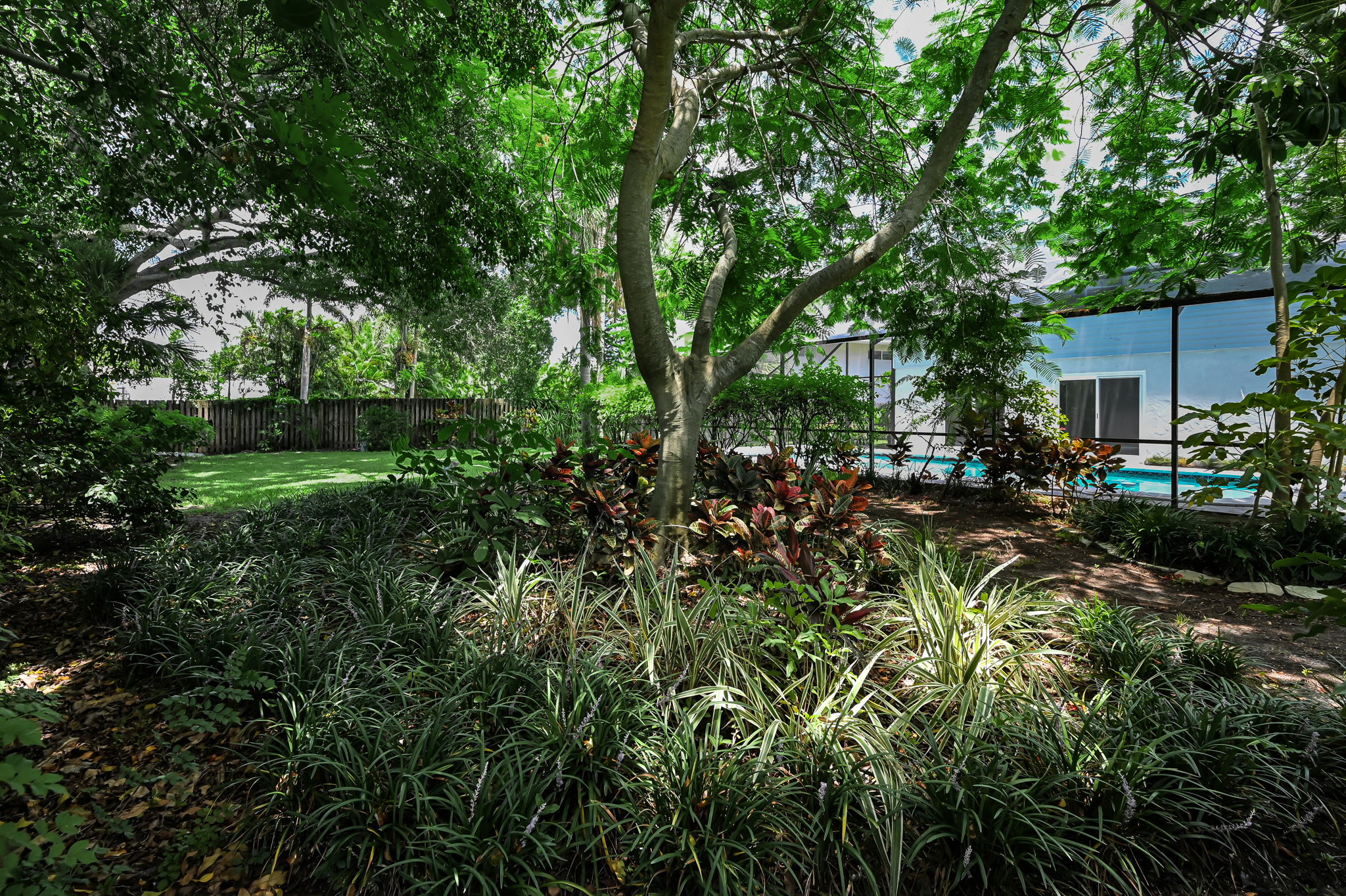 Backyard9