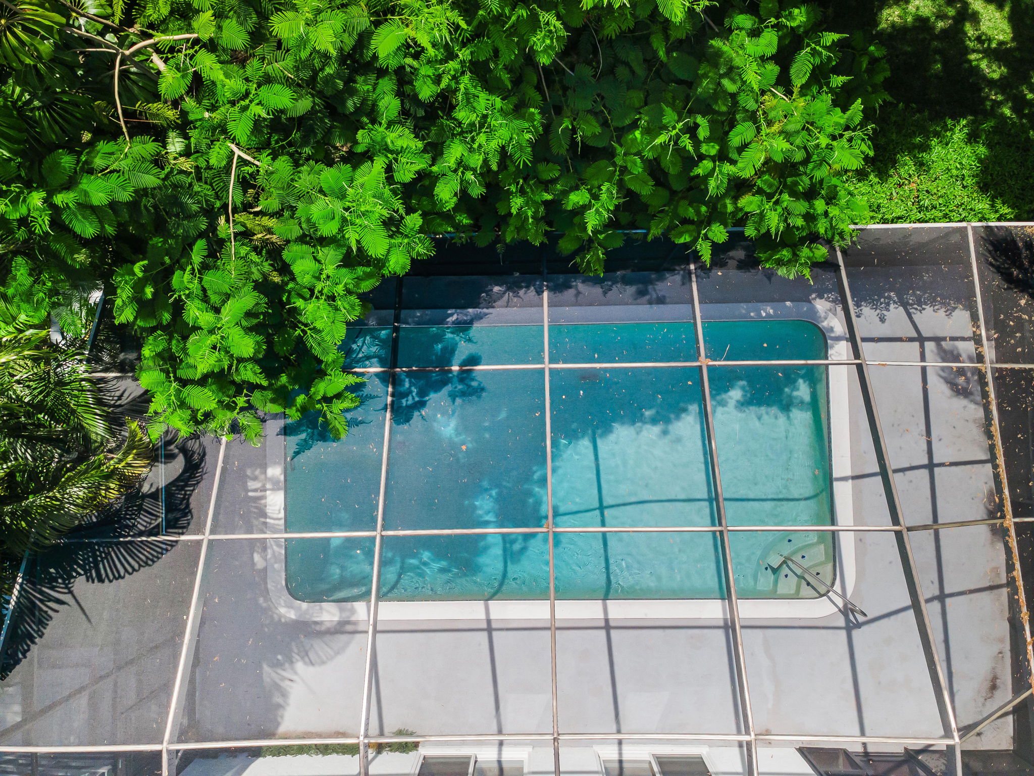 Aerial (14)