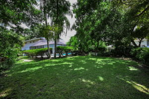 Backyard3