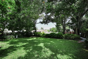 Backyard5