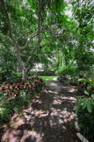 Backyard8