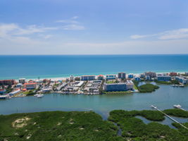 Aerial (11)