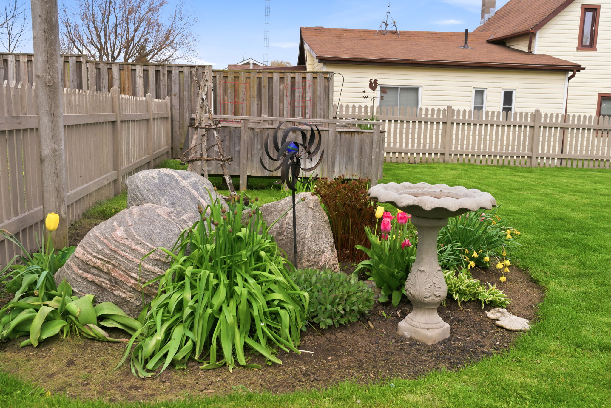  Photo 48