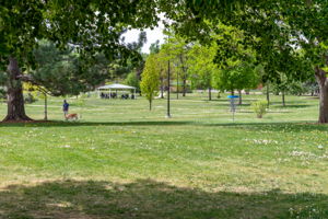  Photo 38