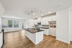 Lithium Ln-S0301-015.jpg