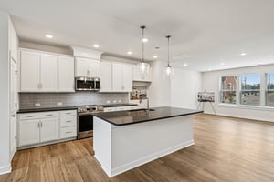 Lithium Ln-S0301-017.jpg