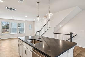 Lithium Ln-S0301-019.jpg