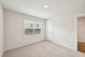 Lithium Ln-S0301-020.jpg