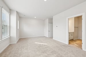 Lithium Ln-S0301-029.jpg