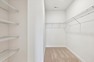 Lithium Ln-S0301-033.jpg