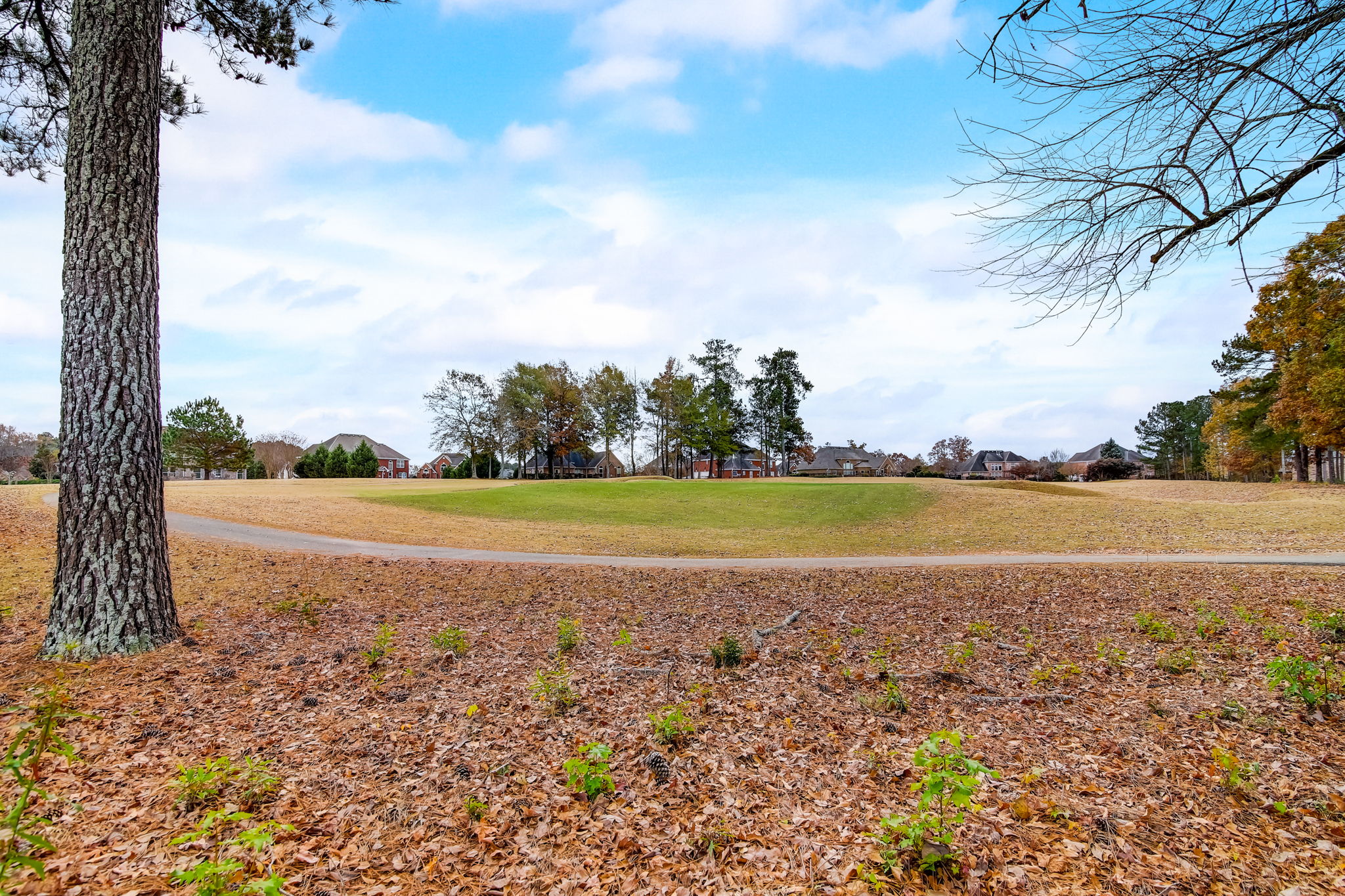 Crystal Lake Blvd-073