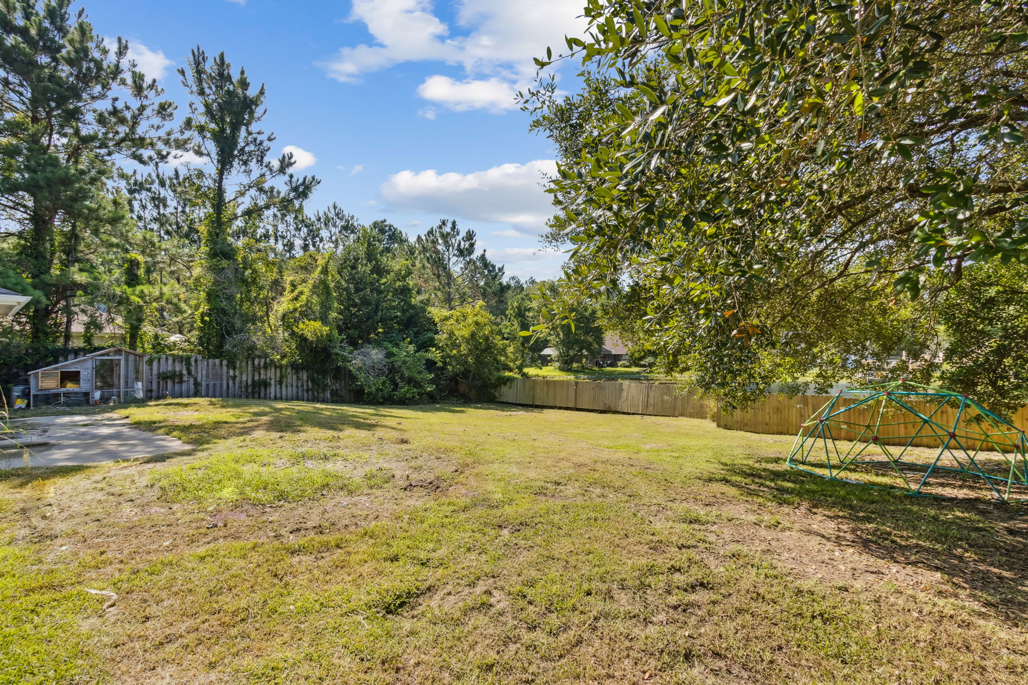 Backyard