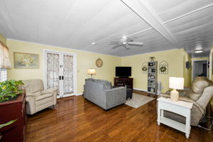 Living Room 1