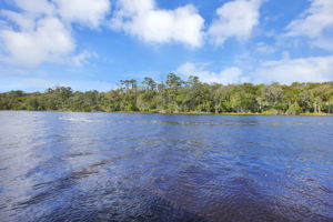 Water-to-Preserve View