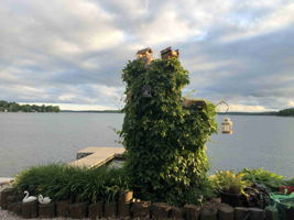  Photo 41