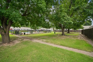 ATP06412.jpg