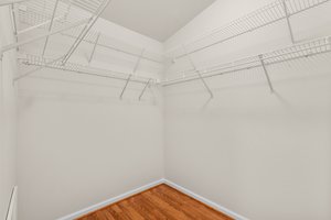 Primary Bedroom Closet