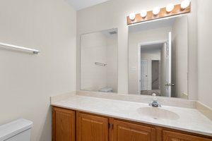 Lower Level Powder Room