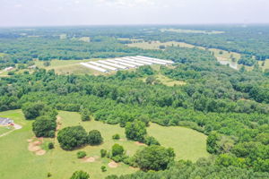Image-33