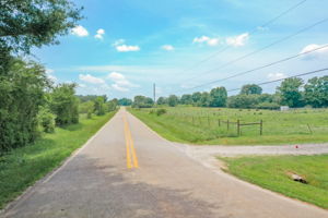 Image-1
