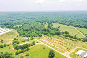 Image-20