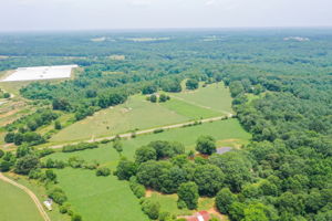 Image-15