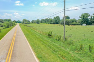 Image-2