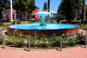  Photo 29