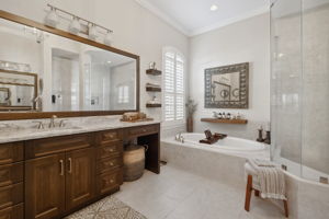 Owner's Bath