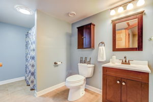 15.Lower Level Bathroom