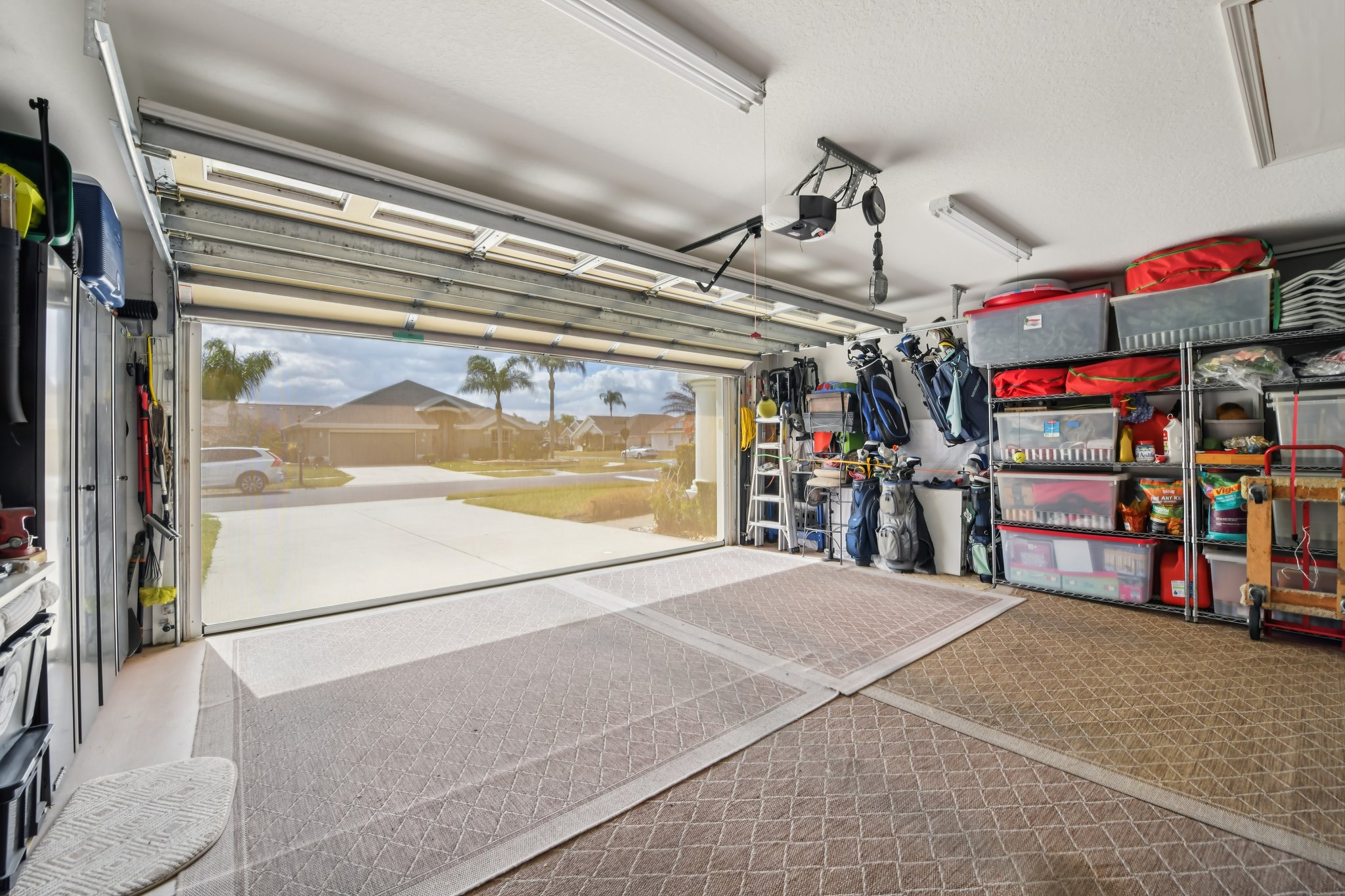 Areca Palm Dr-S1902-040.jpg