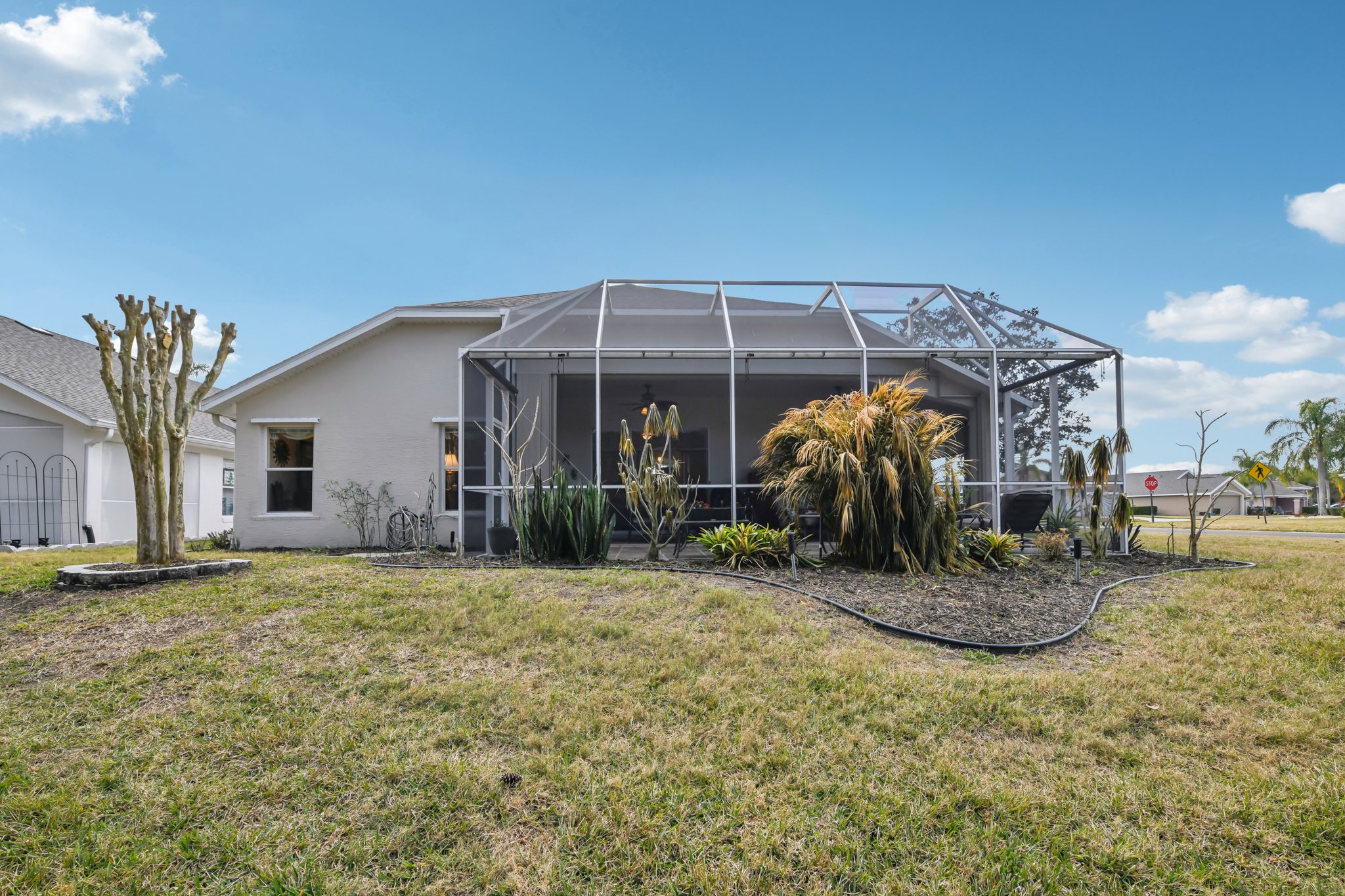 Areca Palm Dr-S1902-046.jpg