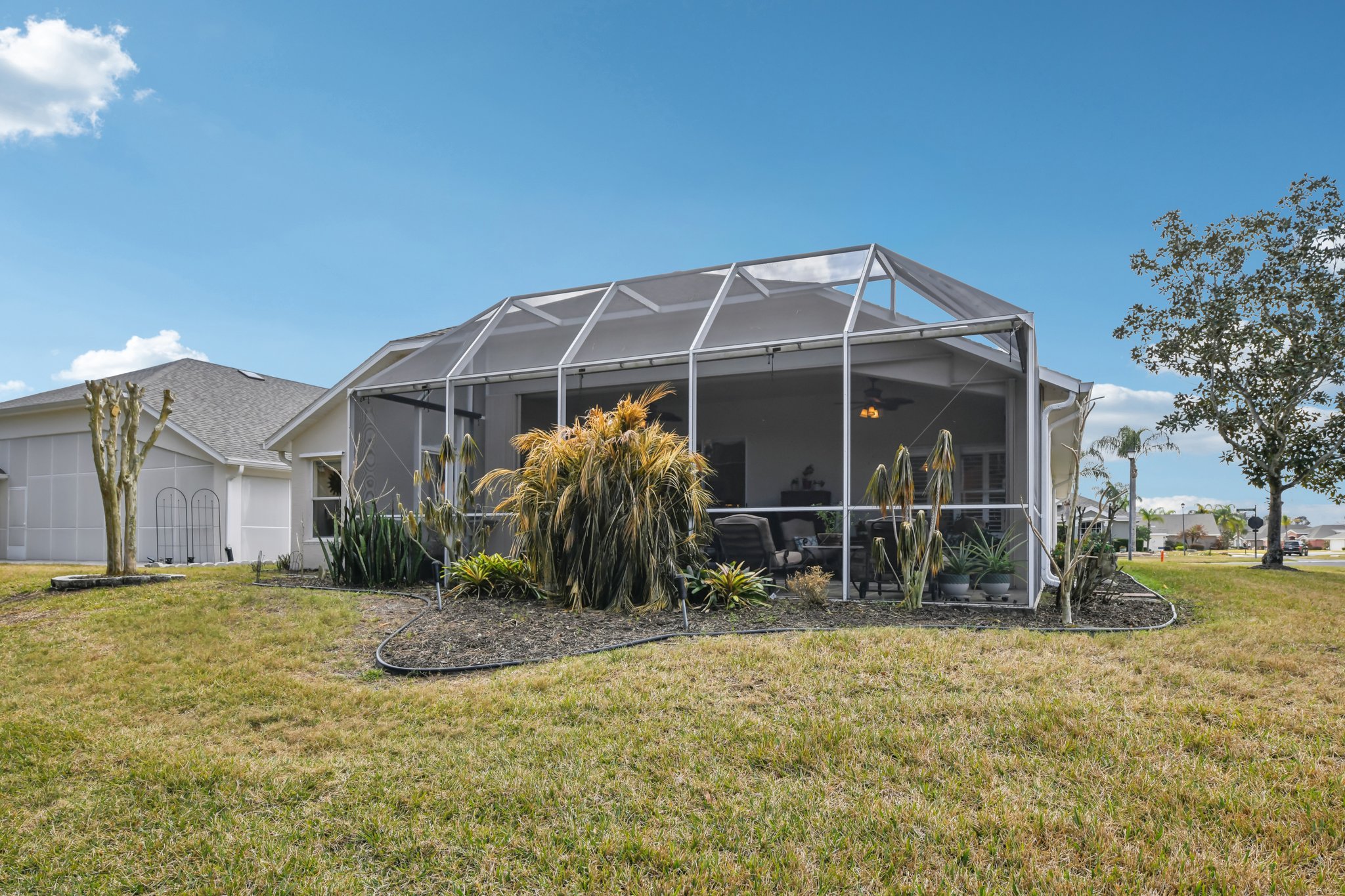 Areca Palm Dr-S1902-047.jpg