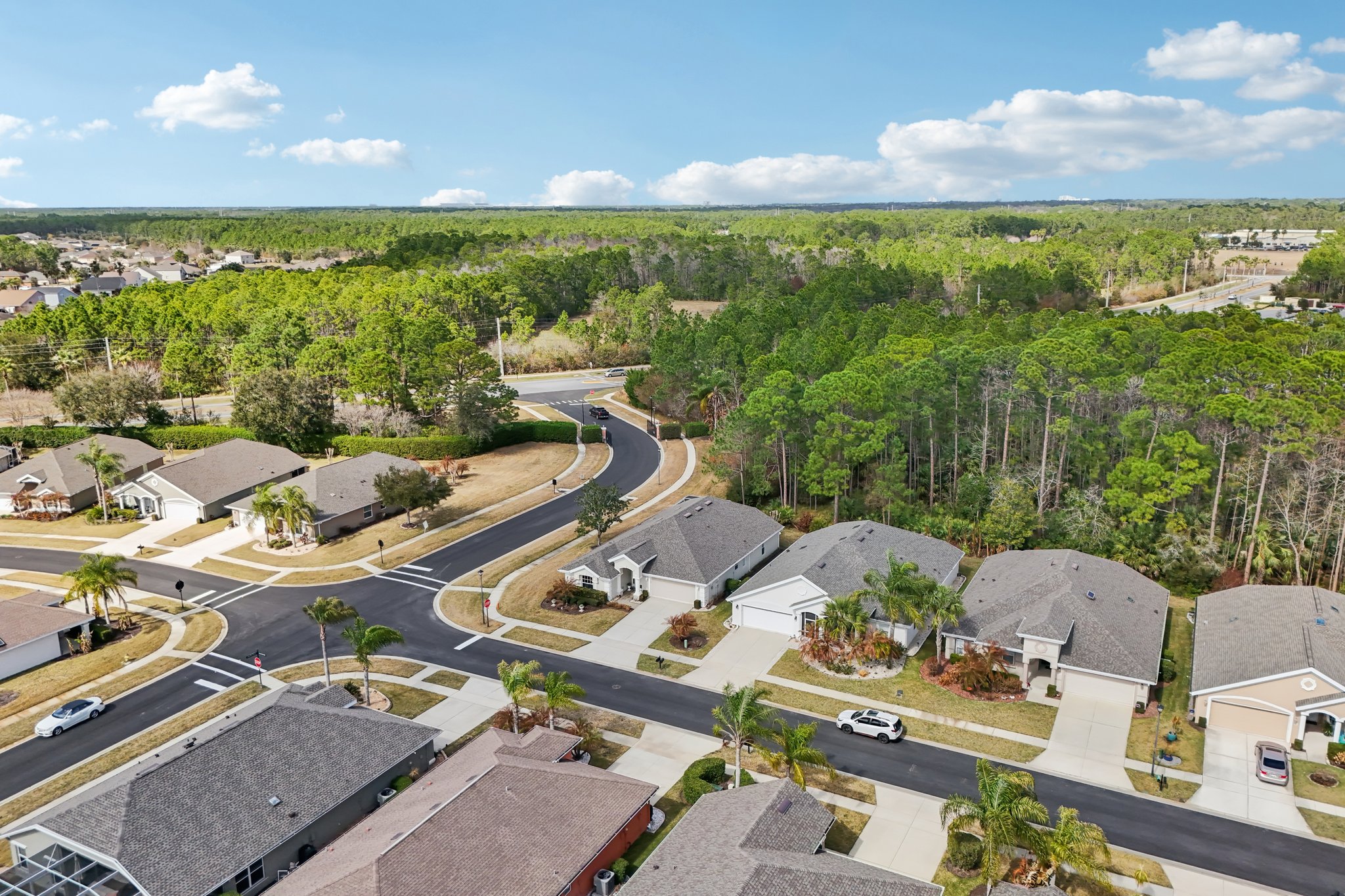 Areca Palm Dr-S1902-052.jpg