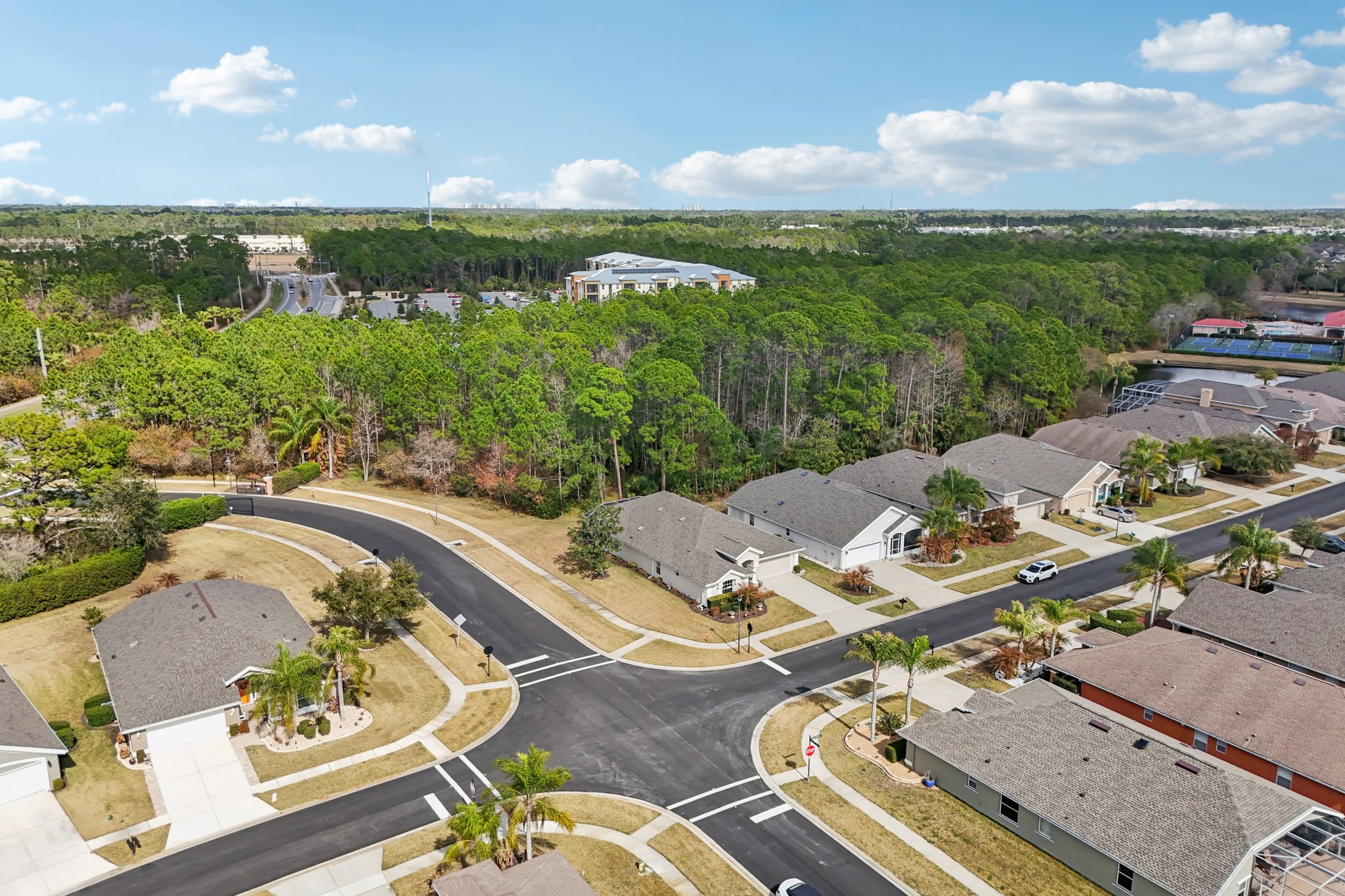 Areca Palm Dr-S1902-054.jpg