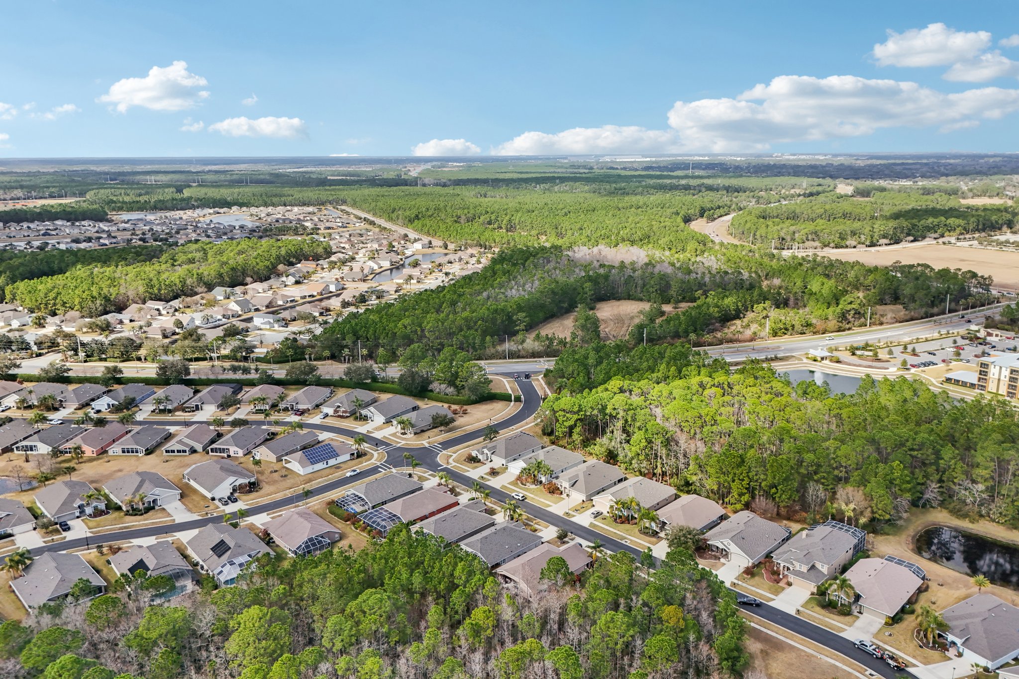 Areca Palm Dr-S1902-058.jpg